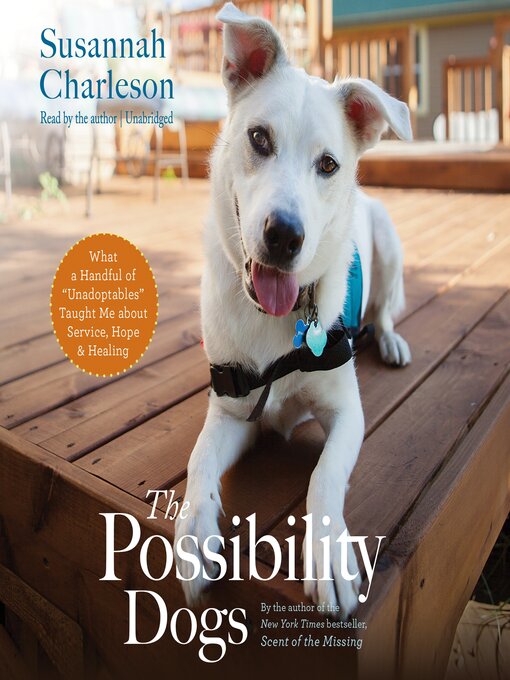 Cover image for The Possibility Dogs